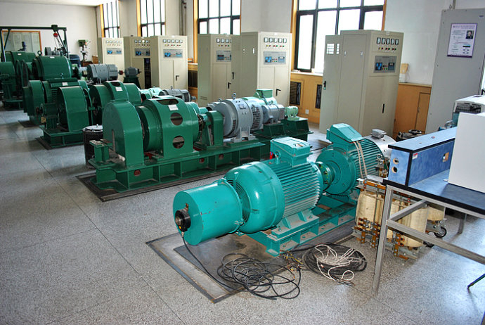 国营南田农场某热电厂使用我厂的YKK高压电机提供动力哪家好
